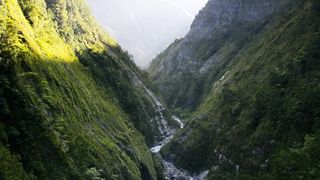 10 Royalty Free Natural Footage __ Copyright Free Natural Forest Video __ Cinematic  Natural Video _