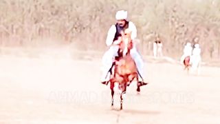 #febspot#foryou #foryoupage#horses#ridings#vedio76#ahmad#nasir#sports#fyb#fybpage fybpage#chak#no168/171NB