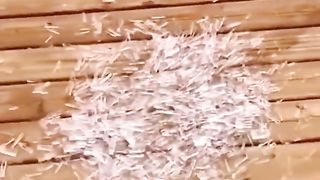 Amazing videos vol 154