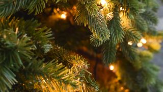 "Sparkling Celebration: Welcoming the New Year with Joy and Hope!"