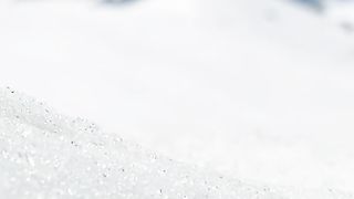 Frog skis down slope to find love in the French Alps ⛷