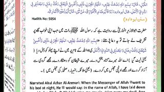 اسلامی معلومات Like share follow 272