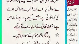 اسلامی معلومات Like share follow 279