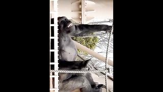 There is something funny