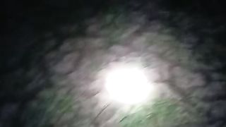 Vlog malem