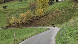Nature #300k