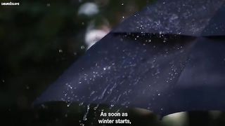 Kaun se Samandari Jaandar Halal aur Haram hain