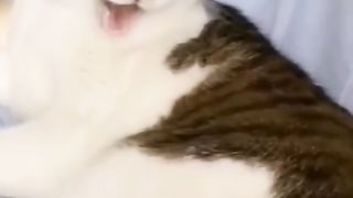 Funny action 35