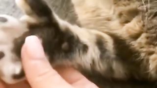 Funny action 38