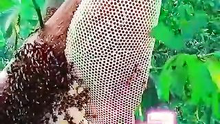 How to make growing amazing ???????? video honey ????????