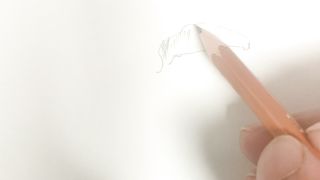Pencil art