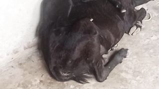 Daughter Love Mother