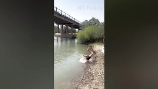 ????Tik Tok Funny Videos || funny peoples life - Fail And Pranks #22
