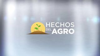 Hechos del Agro - Cosecha de papaya y coco enano