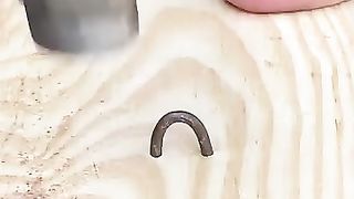 The tools tricks