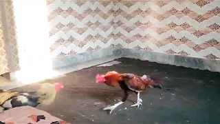 Aisa na karo ll gunah ka Kam hay