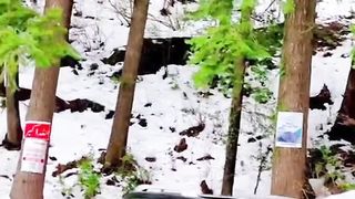 Snowfall on Nathia Gali Road Beautiful View