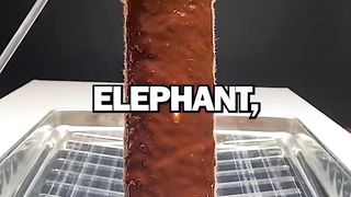 Interesting Facts You Didn’t????