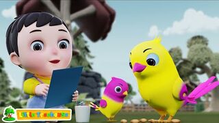 Chidia Rani Badi Sayani, चिड़िया रानी, Little Treehouse Hindi Rhymes for Babies.