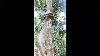 Amazing vedio 27