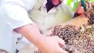 How to make funny amazing and world report to
