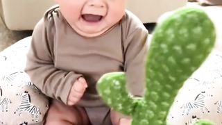 Baby and cactus toy ????????