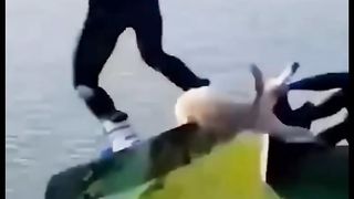 funny pat