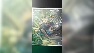 funny vedio clip hd 3