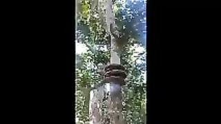 Fantastic,amazing and unbelievable vedio 2