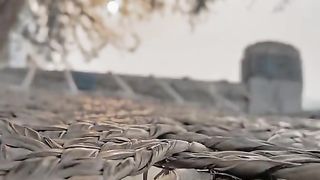 funny clip hd