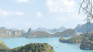 Nice Natural View