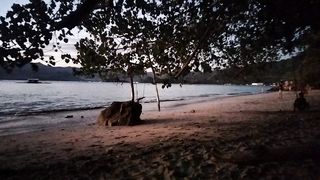 wisata