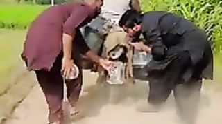 Daood chor k sath kia hua ????????