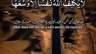 Recitation of an Ayat