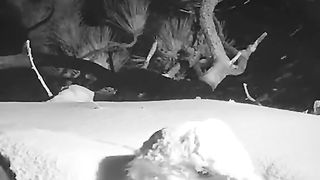 Amazing videos vol 169