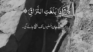 Ameen 8