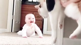 baby laughing at cat