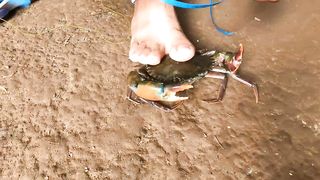 खेकड्यांची शेती कशी करतात _ वसई _ Crab farming in Vasai _ Vasai