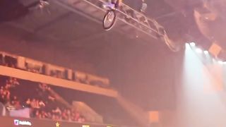 Sabah Sporu???? #shorts #pati #pet #pets #dog #sports #nature #keşfet #reels #viral #top @ndogaltv. Upload 2