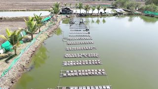 केकड़ा पालन se चांदी hi चांदी???????? A to Z Crab Farming __ Indian Farmer