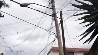 Amazing videos vol 172