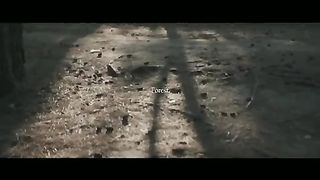 Cinematic Forest