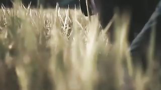 Harvest paddi