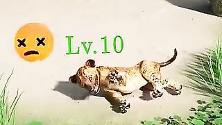 JN047_EN_P103_916_【Beast_Lord__The_New_Land】_bluedemo(360p).