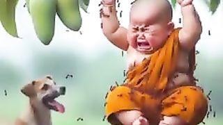 little_mon???????????????? ????????????(240p).