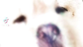 My name Louis