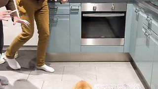 My cats are scared!????????????