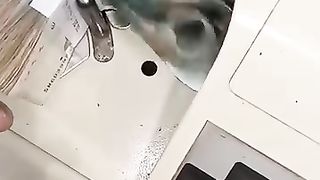 Cash counter ll counting machine