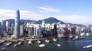 Hong Kong Zoo photo collection from Stan Lihai