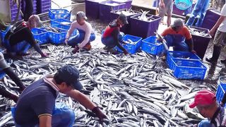 Extreme Umami！Flying Fish Catching, Smoked Flying Fish Making Skills_